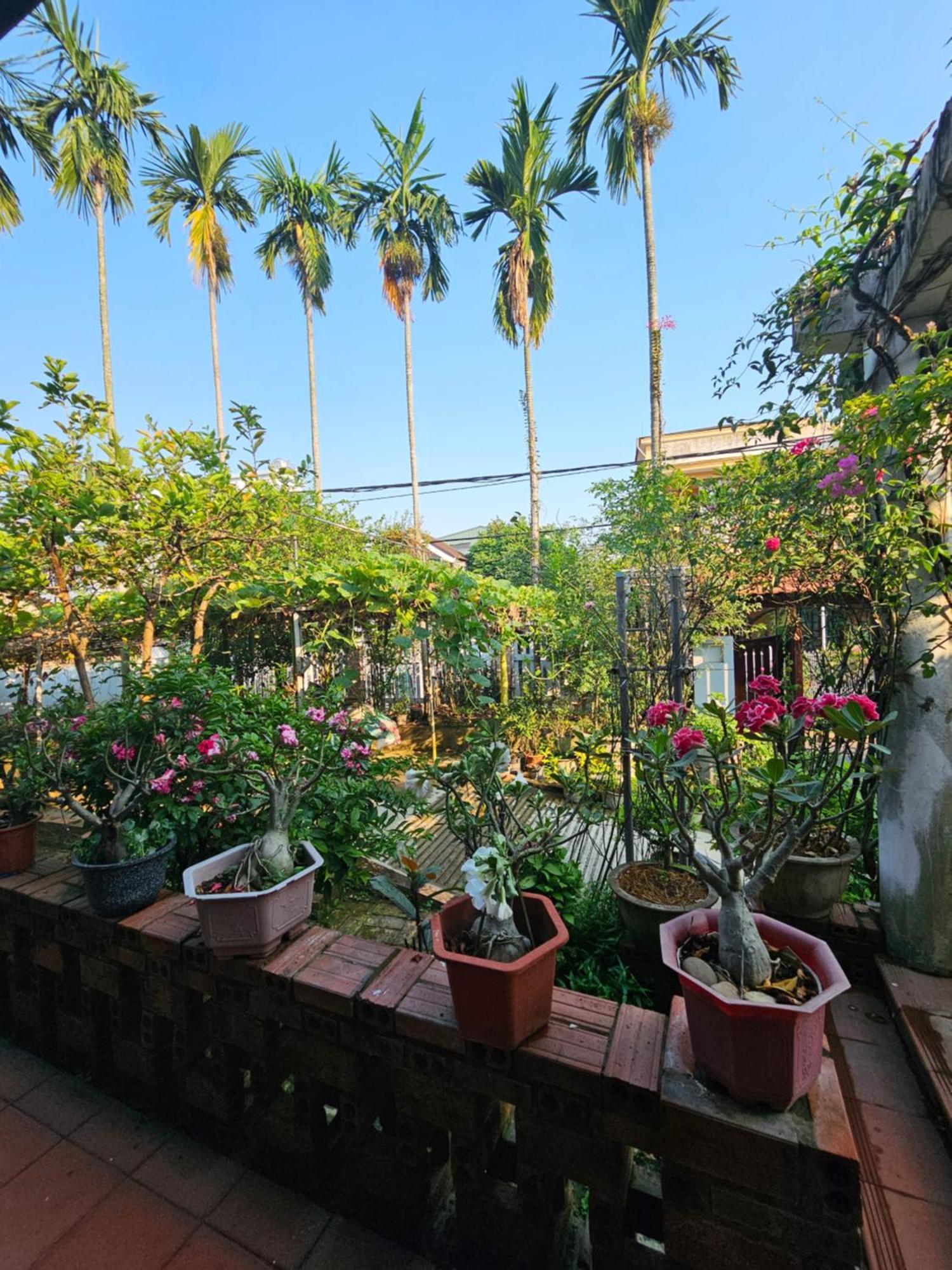 Rose Homestay Hue Thon Kim Long 外观 照片
